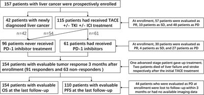 Peripheral blood lymphocyte subsets predict the efficacy of TACE with or without PD-1 inhibitors in patients with hepatocellular carcinoma: a prospective clinical study